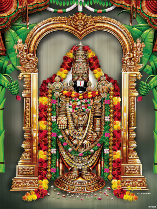 Rose Flowers Balaji Sky BG