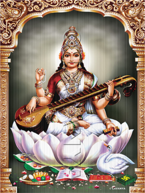 Saraswathi Devi Sky BG