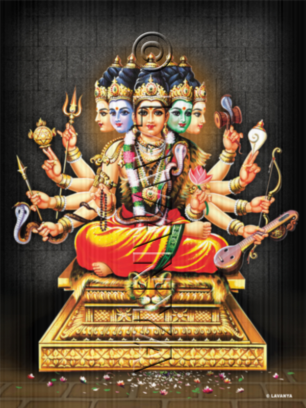 Viswakarma Grey BG
