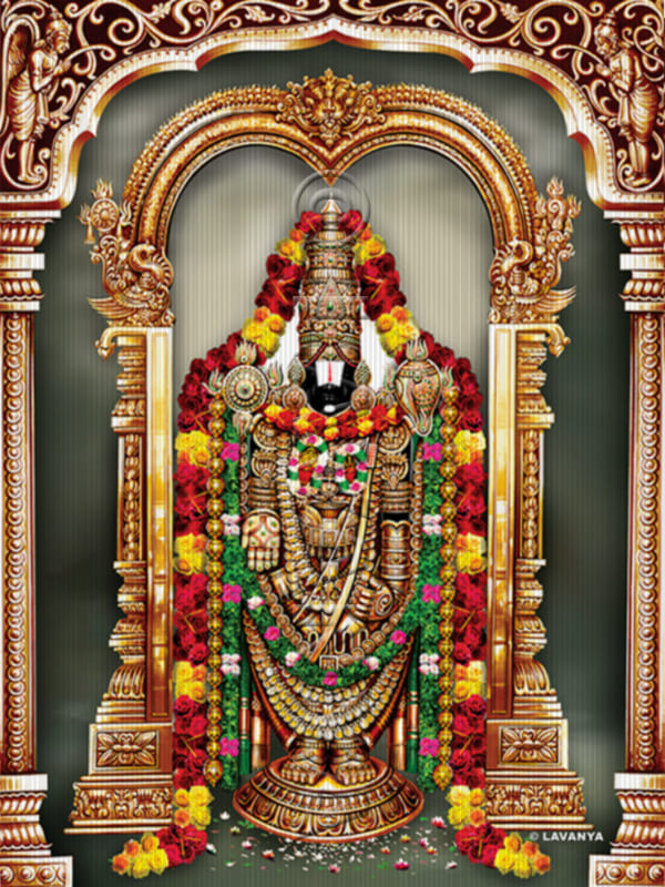 Rose Flowers Balaji Sky BG
