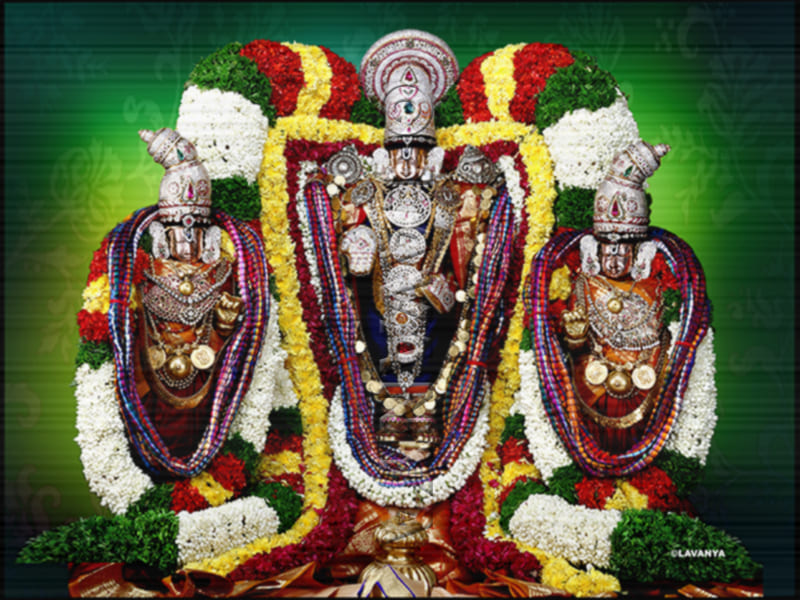Sri Venkateswaraswamy Varu With his Consorts Bride