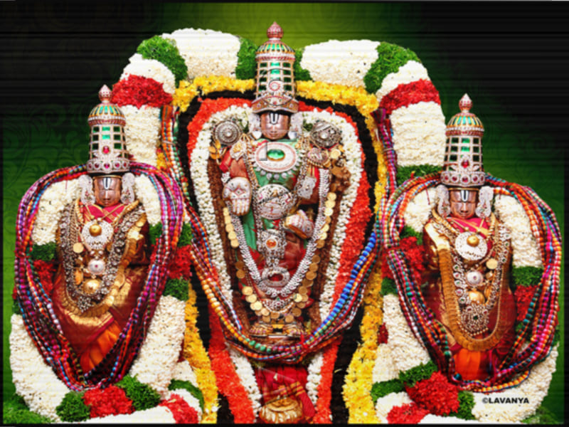 Sri Venkateswaraswamy Varu With his Consorts Bride