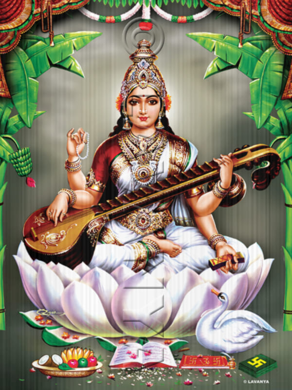 Saraswathi Devi Sky BG
